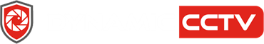 Dynamic CCTV Logo
